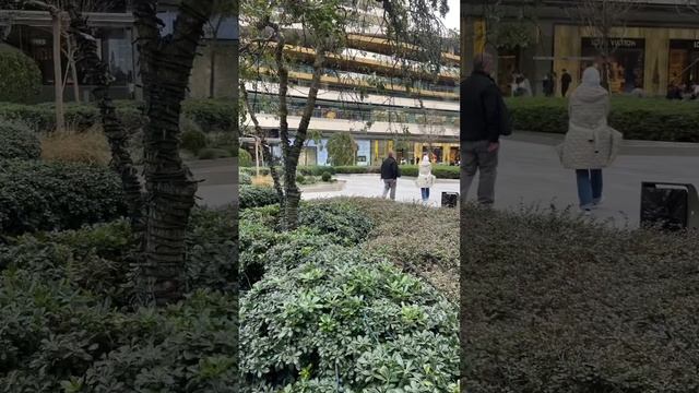 Отчет о моей поездке в Сочи на международный форум 