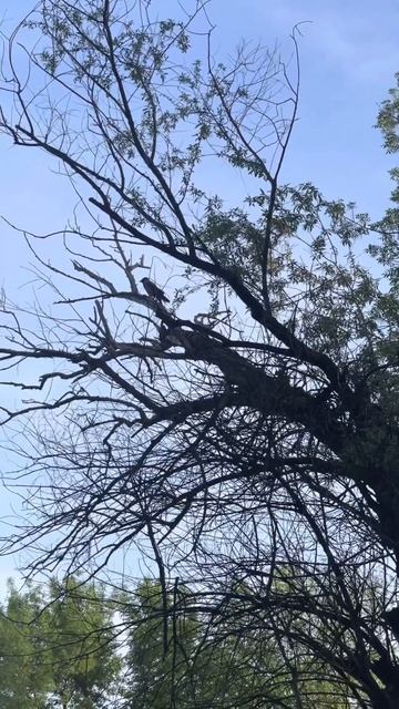 Время проведенное на рыбалке 🎣 в счет жизни не идет ?