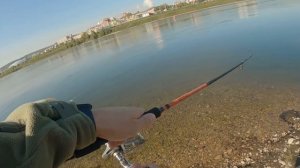 Форель на Ангаре