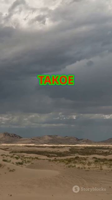 Могут ли кактусы взрываться? Это не миф!#Кактусы #Приро смотреть онлайн