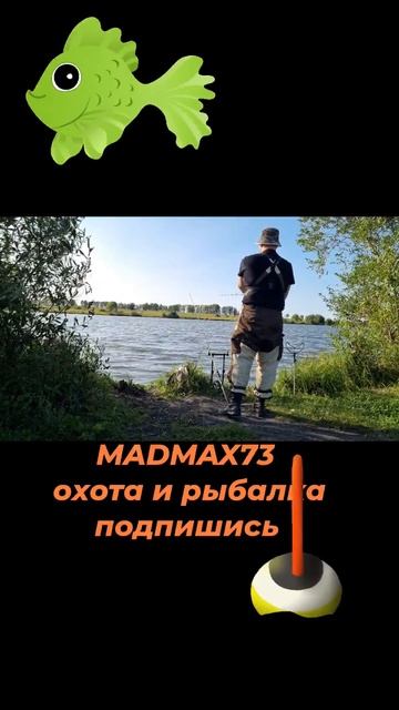 Рыбалка на донки на платном водоеме #блесна #рыбалка #fi смотреть онлайн