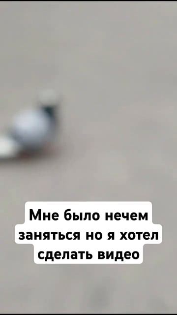 прастите #голубь #1#2#3#4#5#6#7#8#9#10#a#b#c#d#e#f#g#а#б#в#г#д#е#ё#ж#з#и#й смотреть онлайн