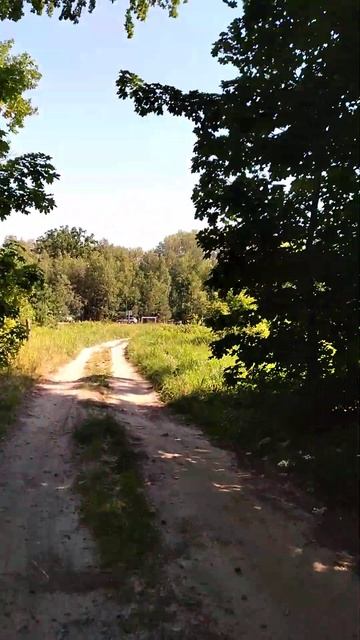 Ландыши уже отцвели в лесу на свежем воздухе иду по пр смотреть онлайн