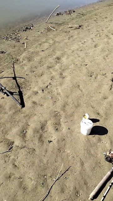 7 октября 2024 г. смотреть онлайн