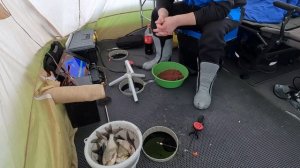 Рыбалка зимой с комфортом, в палатке. С Актив Таргет на