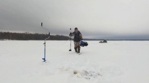 ЩУКА на 135 ВИБ ВАГНЕР. СУДАК из под КОРЯГИ. ЗИМНЯЯ РЫБАЛ