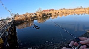 Бюджетная рыбалка. бюджетный спиннинг dayo black dragon 0.5-5 210