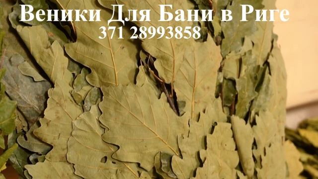 Где Купить веники для бани в Риге | Все для бани и сауны