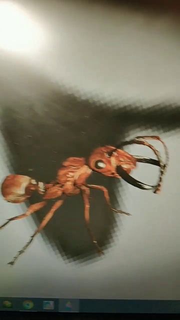 грустный мальчик с топором бегал за котом кот бежал за смотреть онлайн