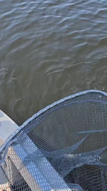 СУПЕР рыбалка на судака. ХОРОШАЯ рыба. Подпишись на от? смотреть онлайн