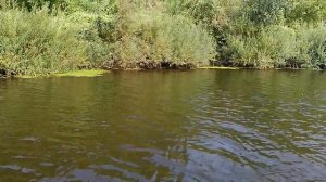 Джеркбейты на щуку для больших глубин