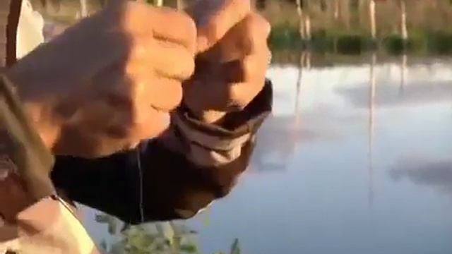 Ловим карася в кувшинках смотреть онлайн