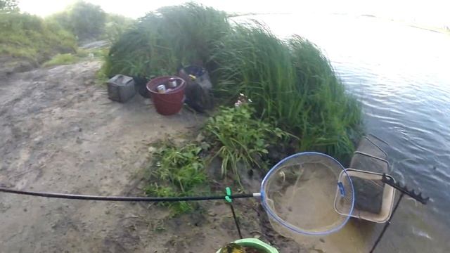 Тонкие поводки дарят плотву и Лёшу в качестве Бонуса.