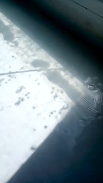 Жук носорог как то проник в наш дом но нашли мы его мер? смотреть онлайн