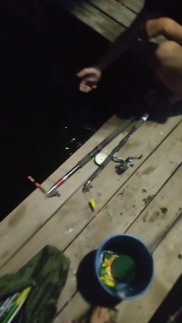 друг отпускает ночной трофей.#shorts #fishing #рыбалка #ворон? смотреть онлайн
