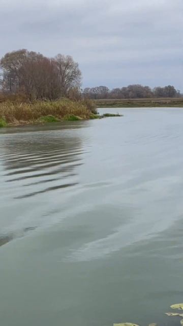 Мокша #fishing #nature #мордовия #река #россия смотреть онлайн