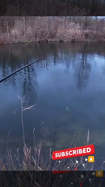 время рыбалки #Shorts смотреть онлайн