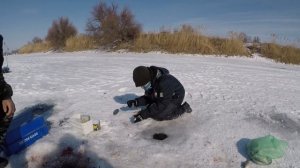 ЗИМНЯЯ РЫБАЛКА НА КАРАСЯ на реке Цимла Ростовская обл?