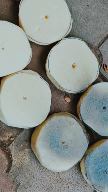 ПРОСТЫЕ ПОСТАВКИ для рыбалки, 2 цвета, во время клёва, с смотреть онлайн