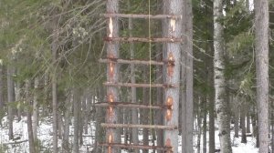 СТРОИМ СКРАДОК НА ДЕРЕВЕ. ЗАВОЗИМ СОЛЬ НА СОЛОНЦЫ НА Б?