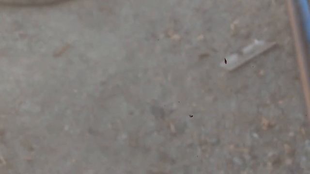 Посадка белой бакински.9.06.19. смотреть онлайн