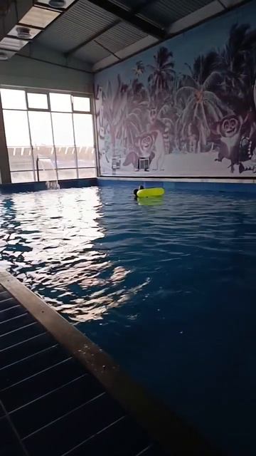 Самый теплый бассейн в Аквапарке Аква Лоо. #аквапарк #б смотреть онлайн