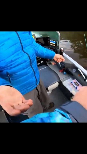 Stressed Out Отличный день поймали Щуку и Карпа #fishing #carpfishing смотреть онлайн