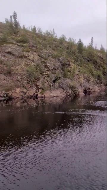 река на Кольском #кольский #рыбалка #мурманскаяобласт? смотреть онлайн