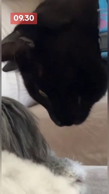 Рибалка з другом | Рыбалка с другом #гумор #юмор #рибалк