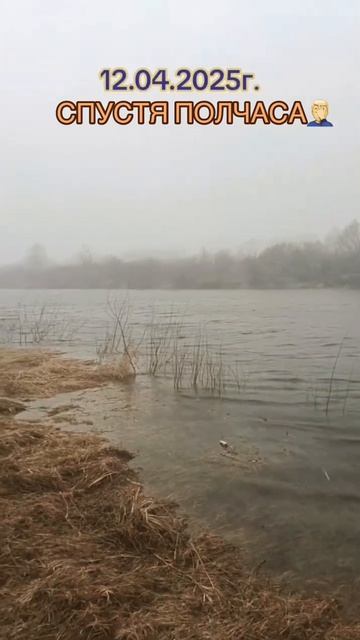 ЭТО НАШ ПРОГНОЗ💪🏼 #рыбалка #рыбалканафидер #рыба #сн?