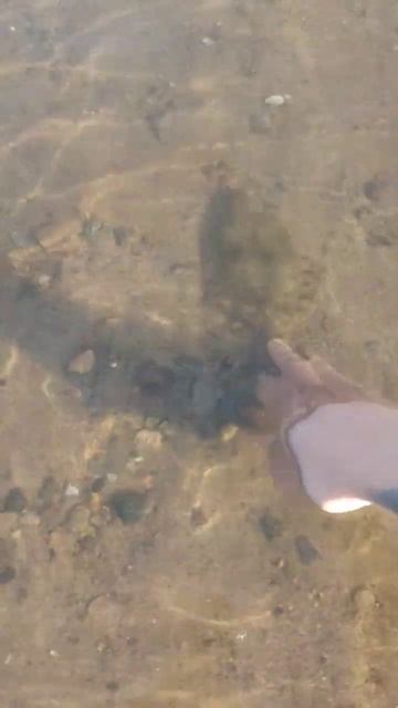 На рыбалке 🐟 #север #деревня #море #рыбалка #море смотреть онлайн