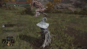 Лучший Прах | Призыв В Elden Ring