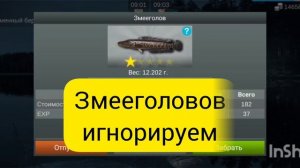 My Fishing World Каменный призрак