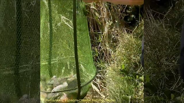 Осенний улов. смотреть онлайн