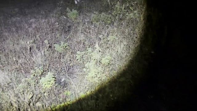 НОЧНАЯ ОХОТА НА ЛОСЯ И КОСУЛЮ В ТАТАРСТАНЕ. Автобаллистика в деле... смотреть онлайн