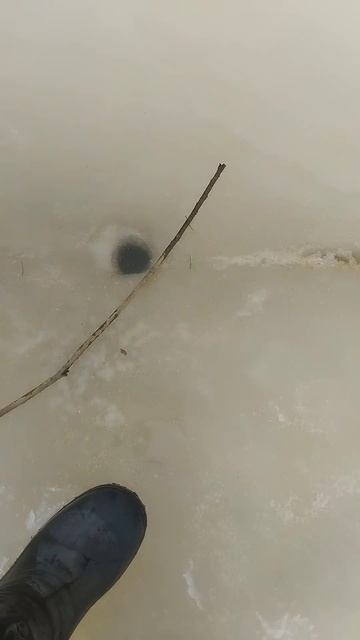 елец смотреть онлайн