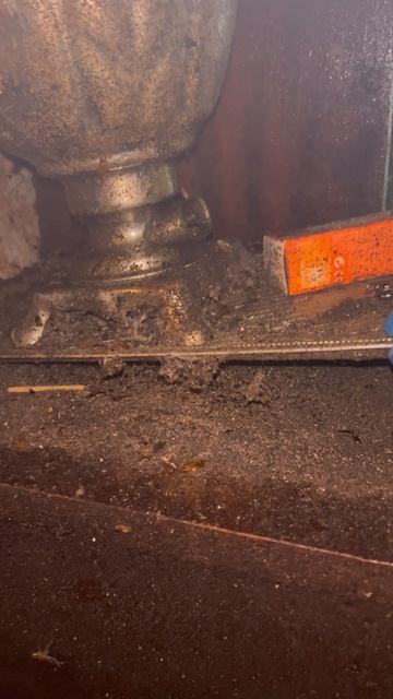 Мой любимый самовар 😱