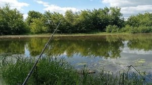 Рыбалка как она есть на реке Солоница