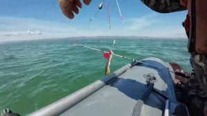 Съездили на море, отдохнули и порыбачили..