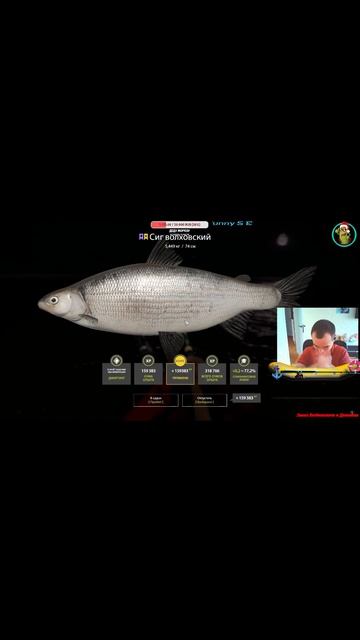 Русская рыбалка 4-Сиг Волховский Топ1 недели 5,449 , Вэки , смотреть онлайн