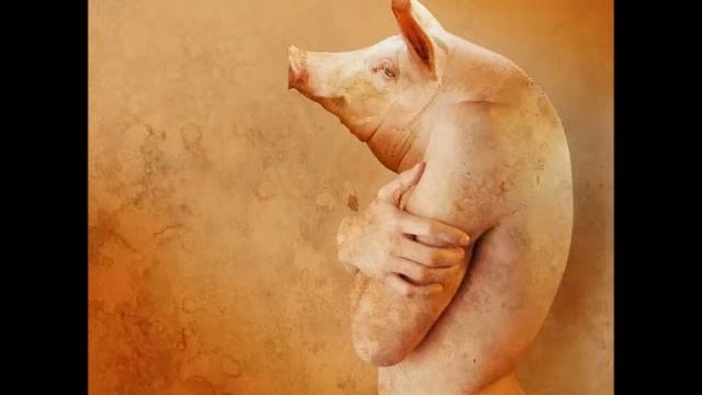 Диаспора утопий   Марк Эндлин