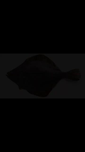 Рыбы которые занесены в красную книгу Украины.#рыбалк? смотреть онлайн