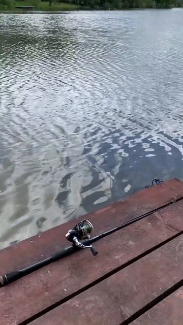 Серебряная чаша 🎣 смотреть онлайн