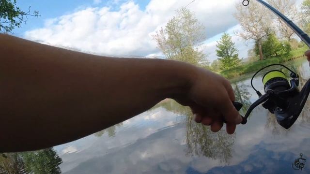 Оце я РОЗУМІЮ ПОПАВ на КЛЬОВ ДИКОГО КОРОПА/ ФІДЕР ТРІЩ? смотреть онлайн