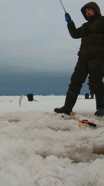 Корюшка на махалки #рыбалка #shorts смотреть онлайн