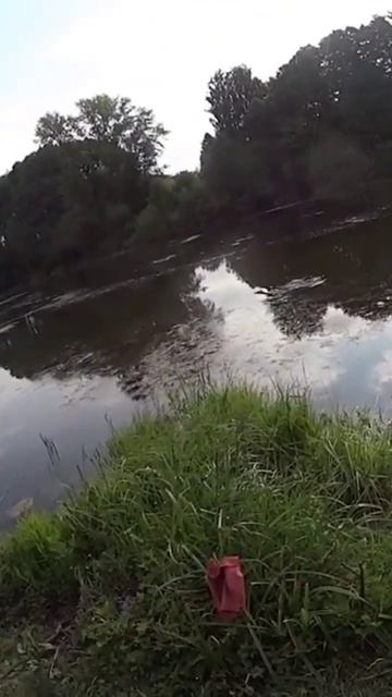 рыбалка, юмор #рыбалка #шортс #топ #отдых #природа #fishing # смотреть онлайн