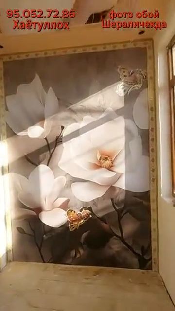 Фото обой Шераличекда смотреть онлайн