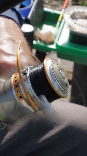 Хорошая удочка #shorts