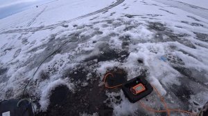 ЭТИ МОРМЫШКИ ЛОВЯТ ПЛОТВУ! РЫБАЛКА НА ЧУДСКОМ ОЗЕРЕ В ?