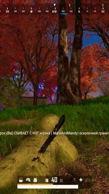 Гранат много не бывает.